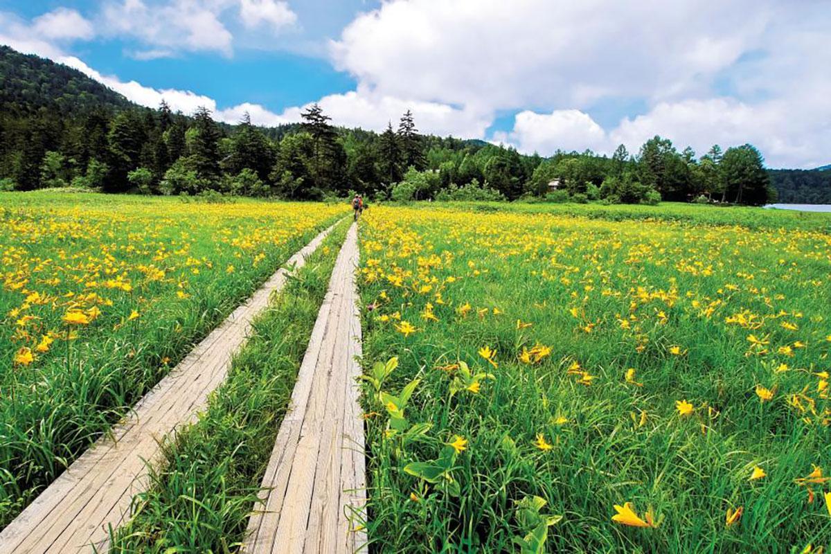 Công viên quốc gia Oze