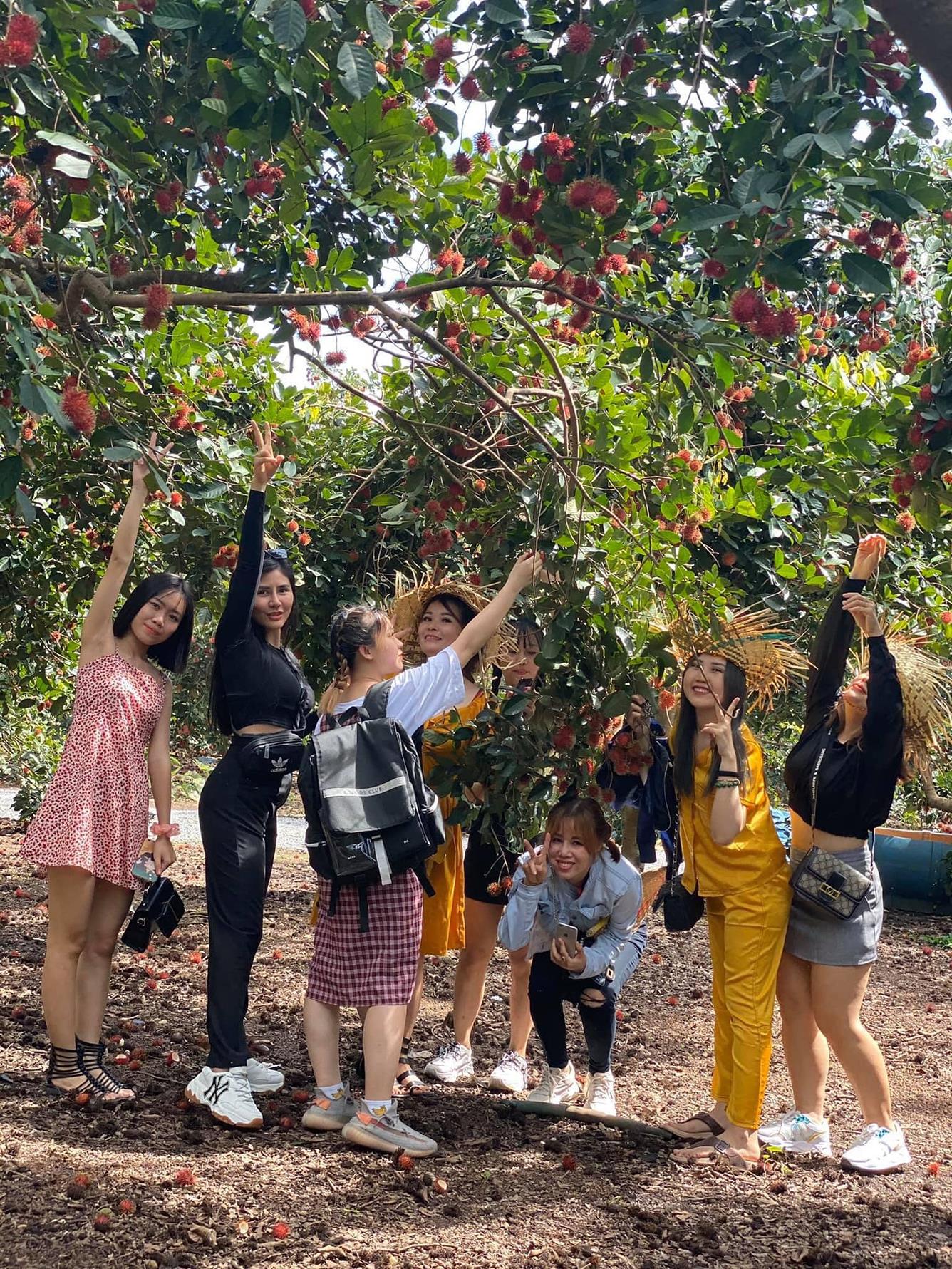 Xứ sở hoa quả Cái Mơn – Bến Tre